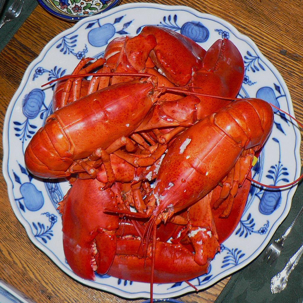 Weird and wonderful ways to eat lobster Canadian Geographic