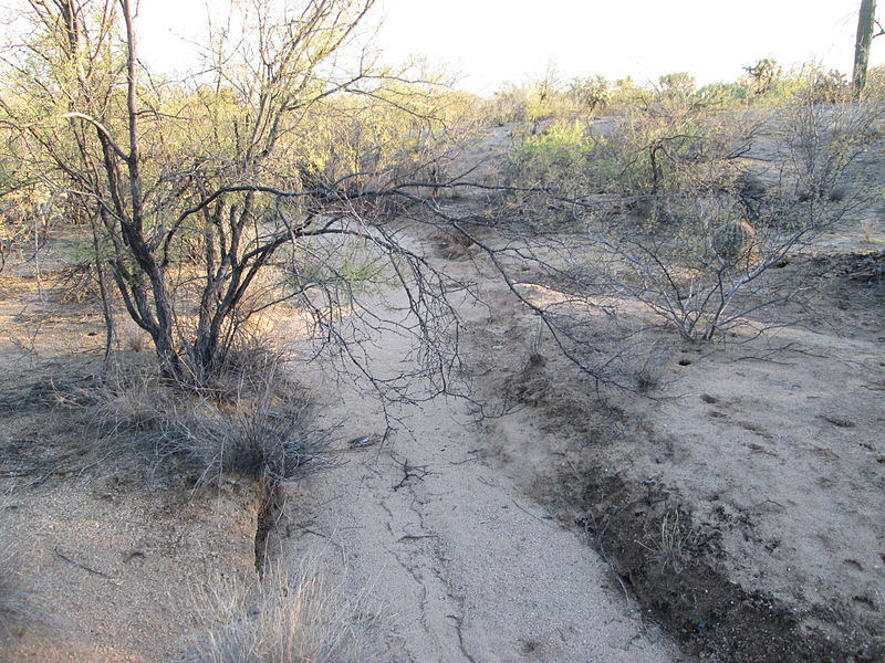 Geography word of the week: Arroyo | Canadian Geographic