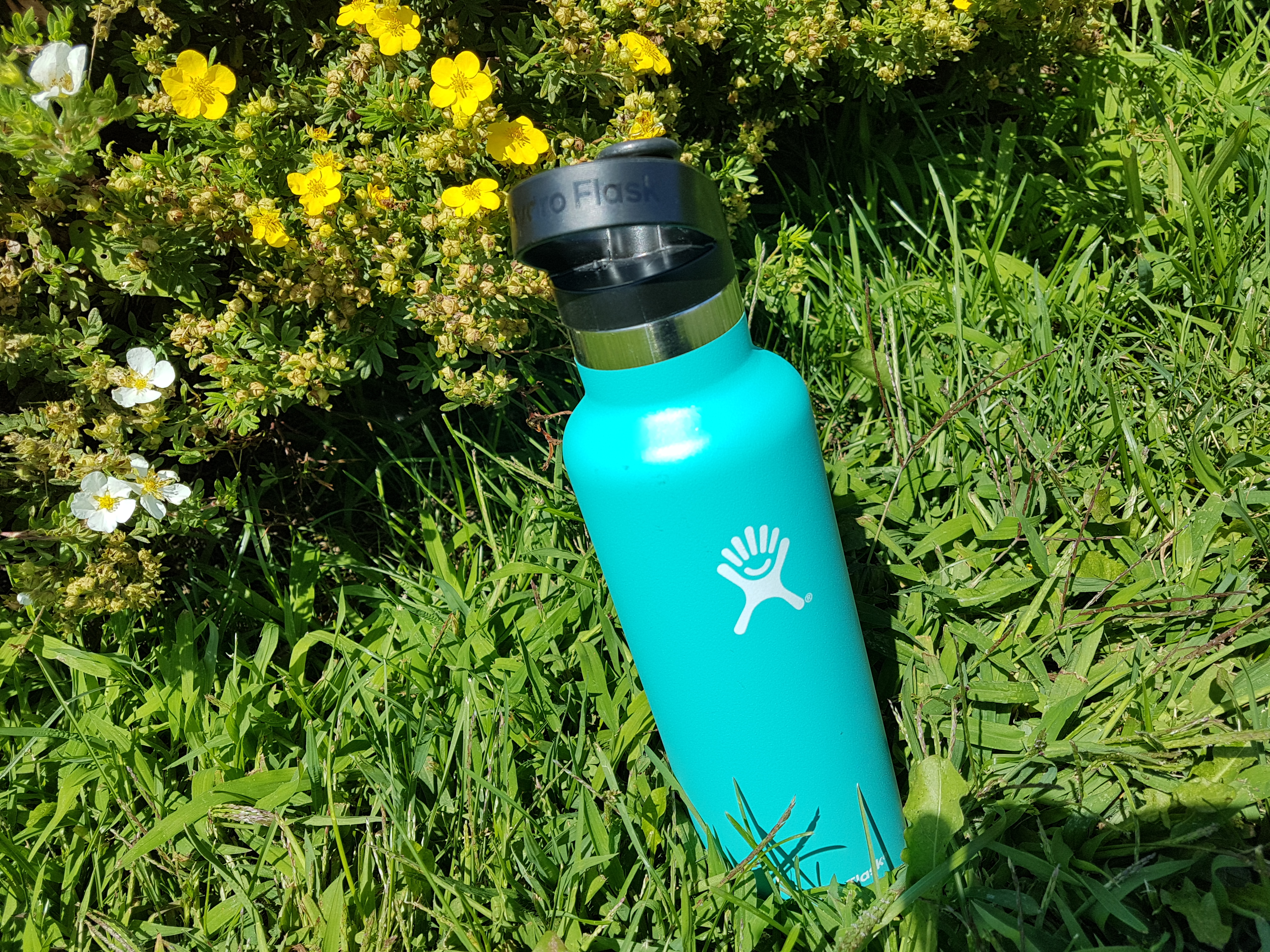 mint green hydro flask