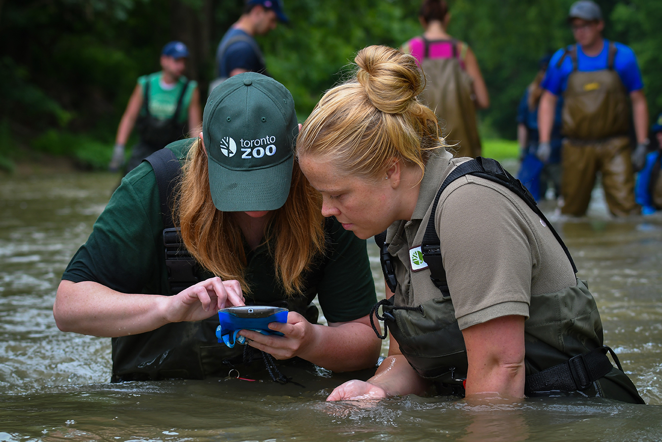 When it comes to conservation research, are zoos and aquariums doing