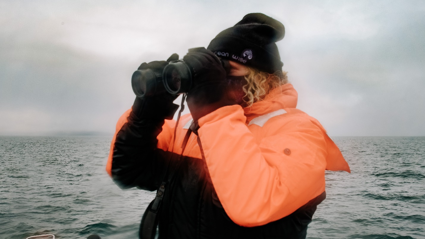 Working with whales through Direct Action - Vimarsana News