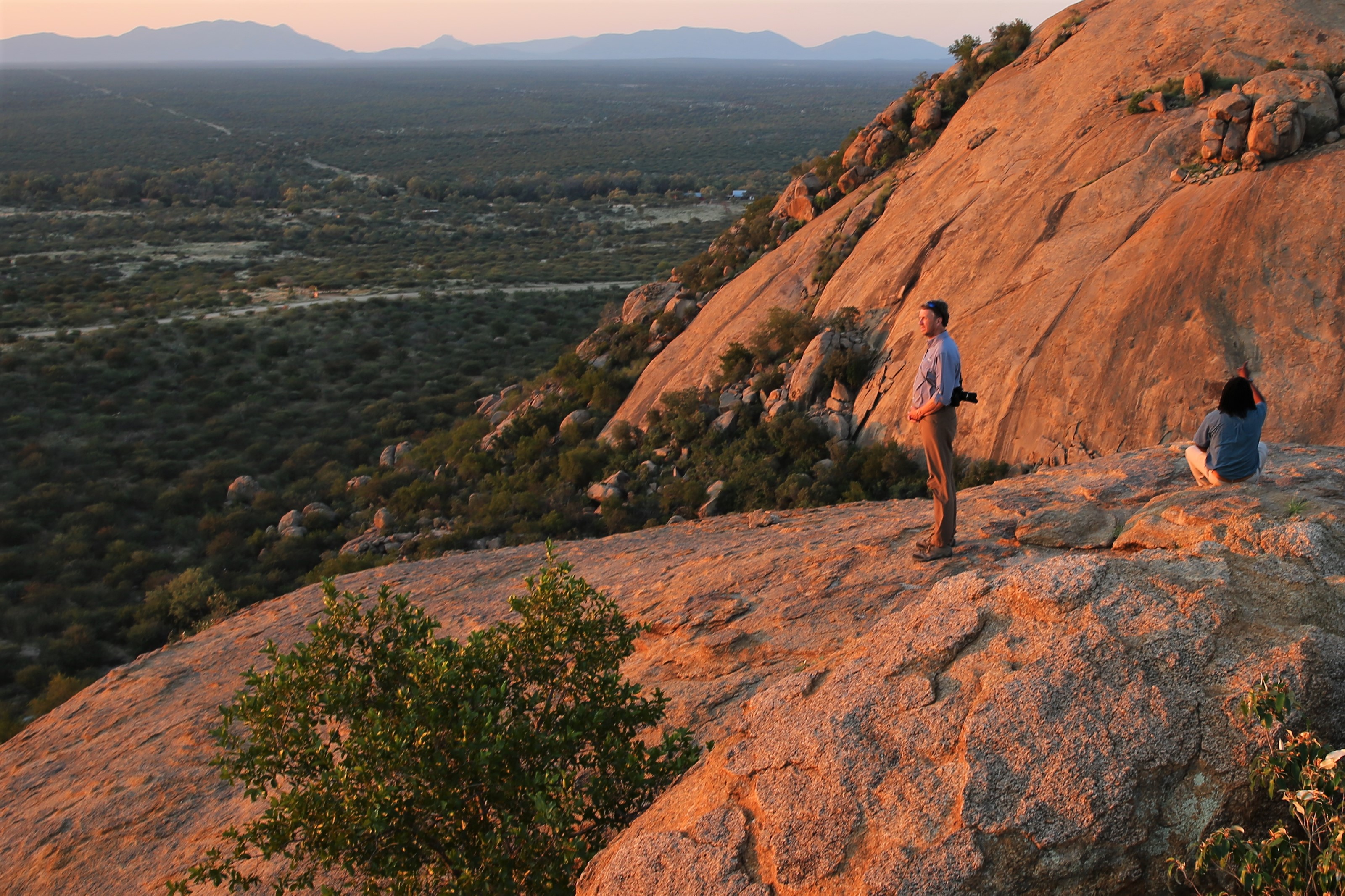 Fiction and conservation can go hand-in-hand - Vimarsana News