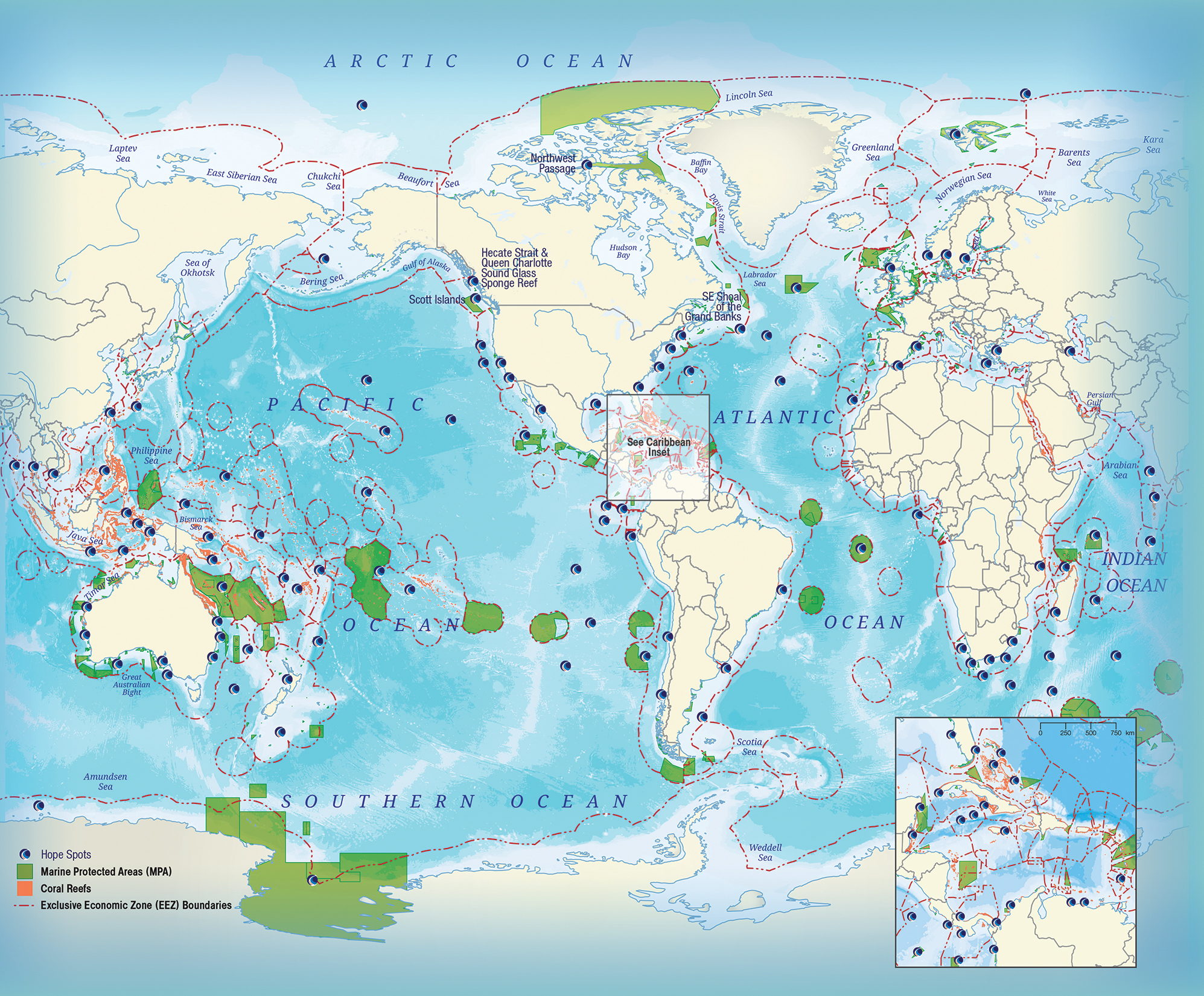 Saving hope: One at-risk ocean hotspot at a time - Vimarsana News