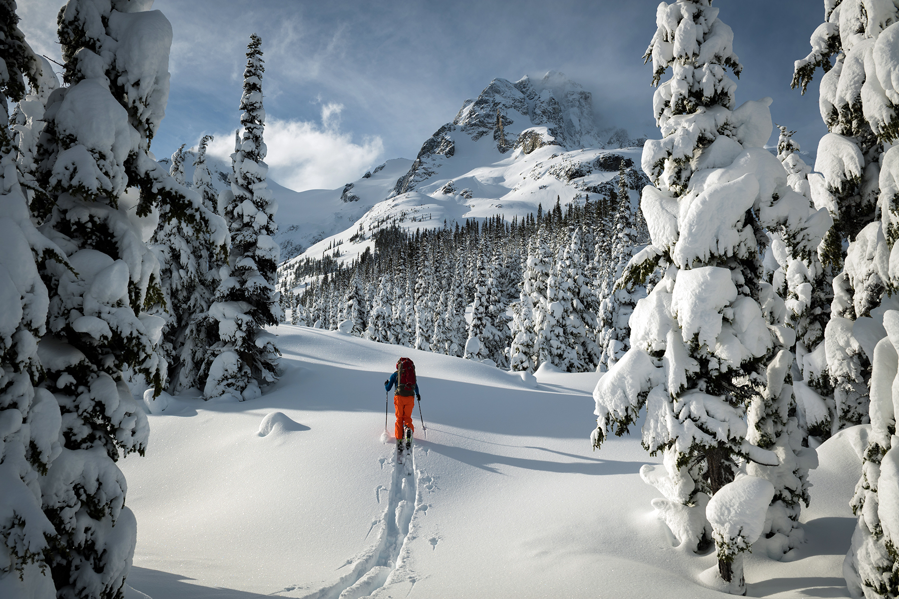 Uptrack to paradise by Mike Crane