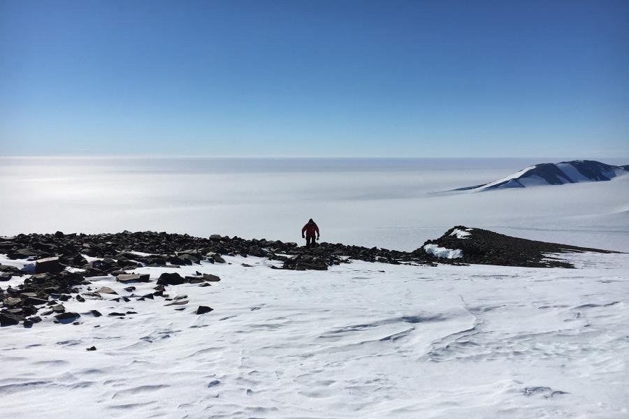 Photo : Ian Hogg Polar Knowledge Canada, Antarctica, DNA, springtail, ice, ice shelf, climate change
