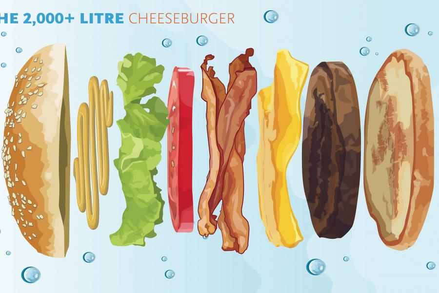 Illustration: Kathryn Barqueiro/Can Geo Virtual water, hamburger, environment, beef