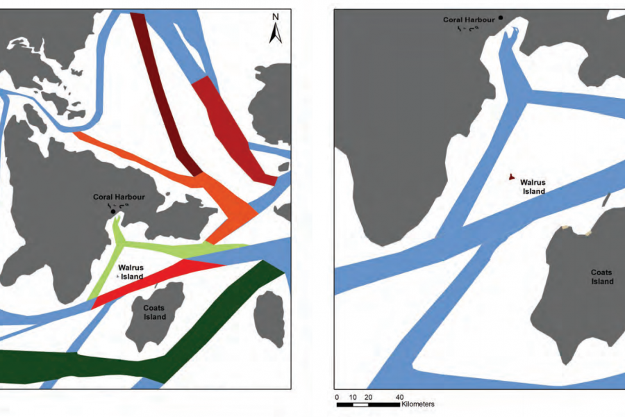 Governing Marine Transportation in the Canadian Arctic/University of Ottawa arctic ship traffic