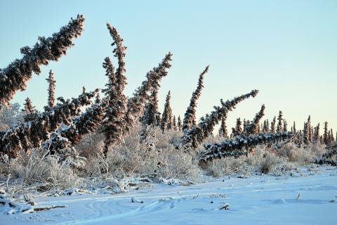 Arctic permafrost is thawing. Here’s what that means for Canada’s North — and the world