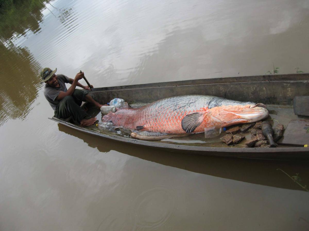 Fish for food Canadian Geographic
