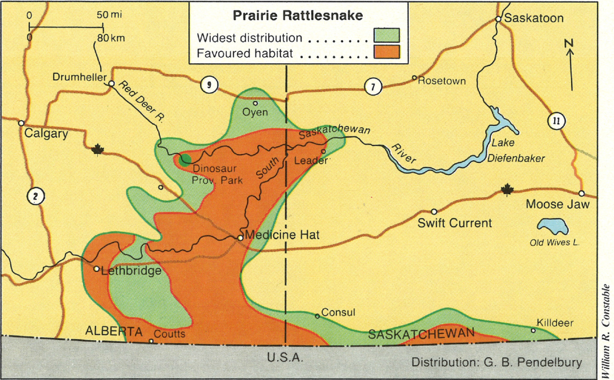 Throwback Thursday: Rattlesnakes! | Canadian Geographic
