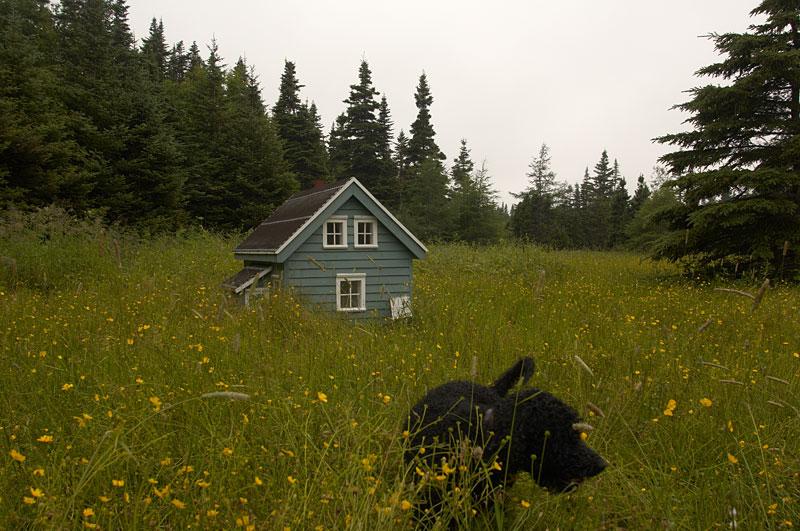Newfoundland's Northern Peninsula Canadian Geographic