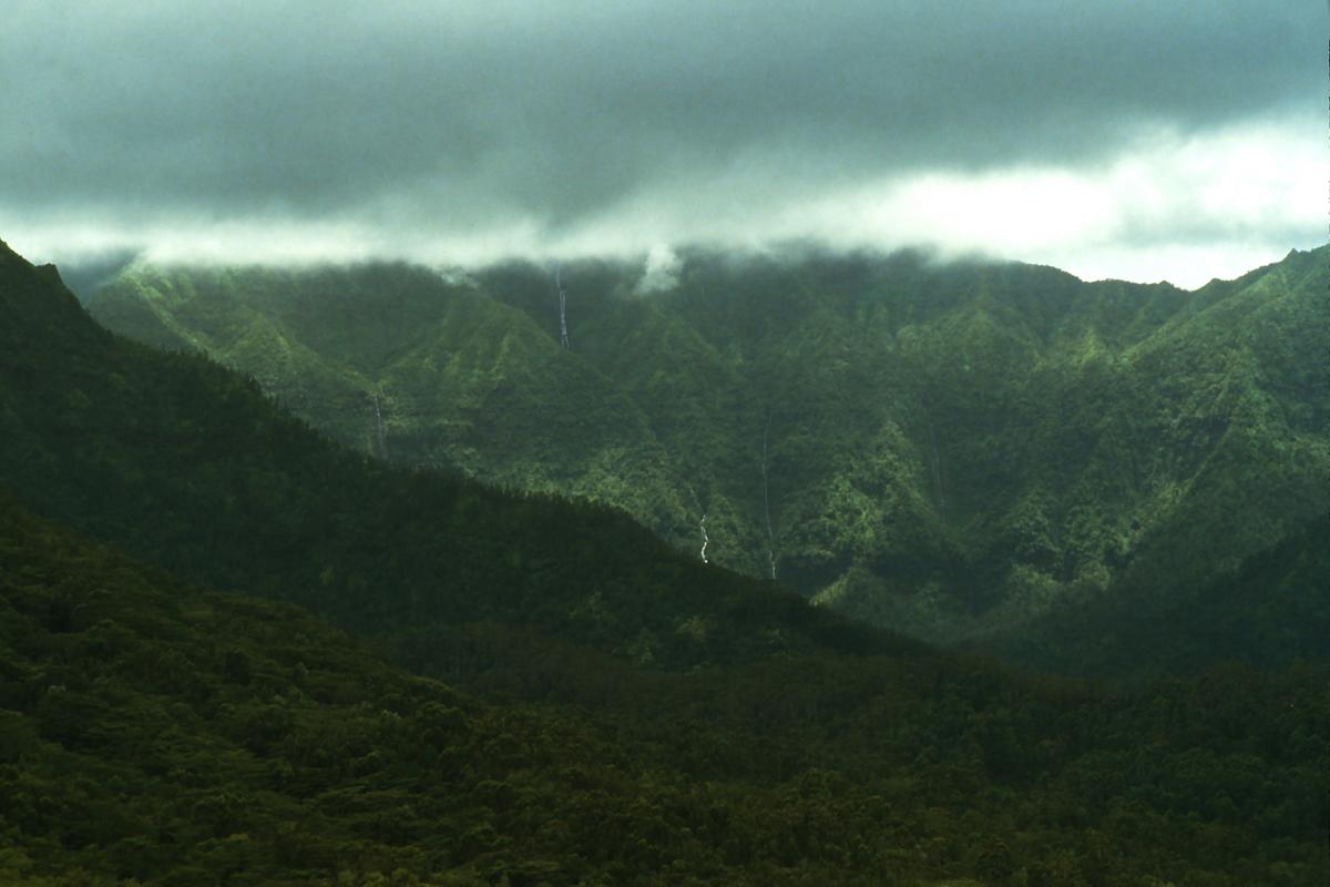 why mount wai ale ale is one of the wettest places in the world