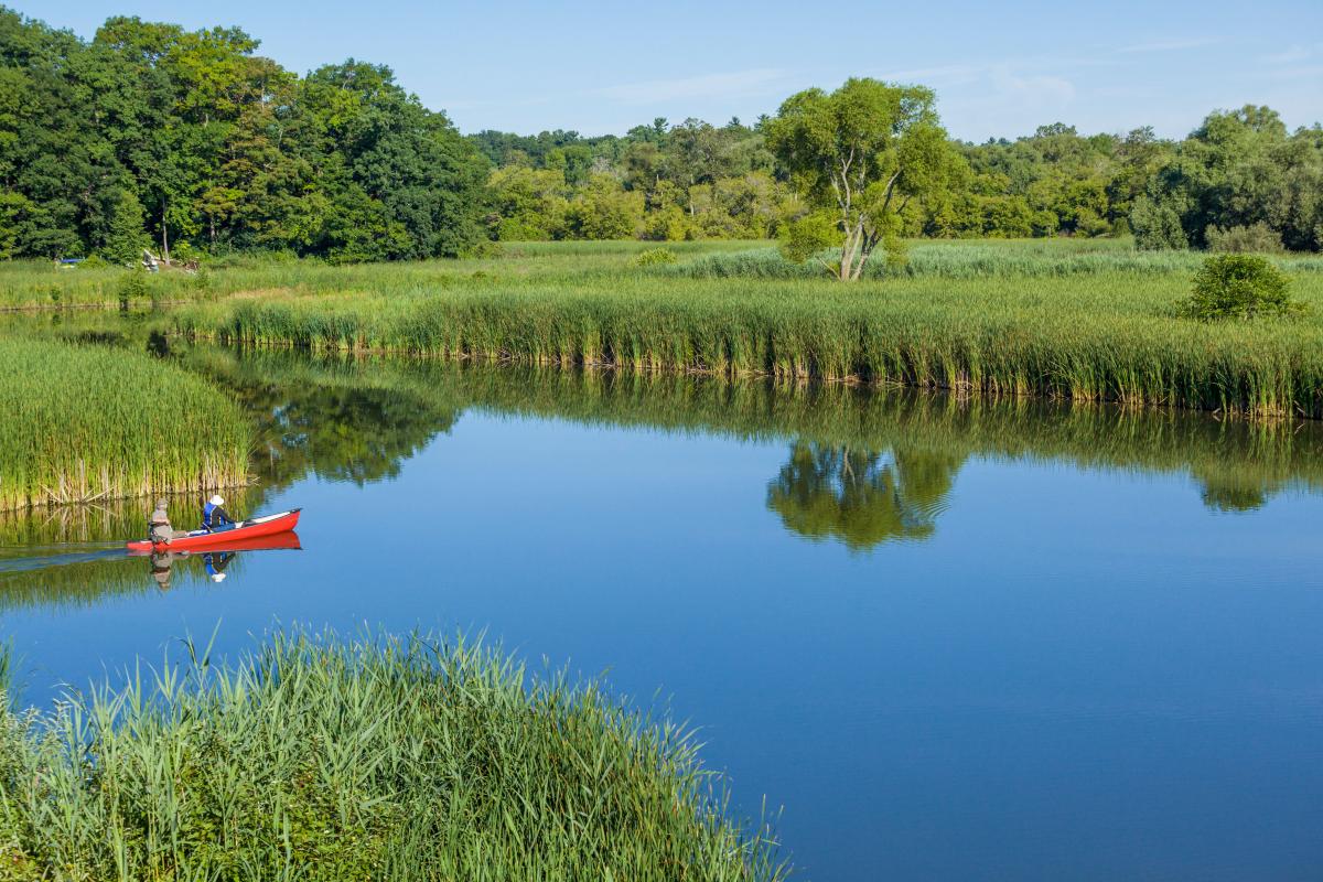 Rouge Urban National Park set to expand by 17 square kilometres