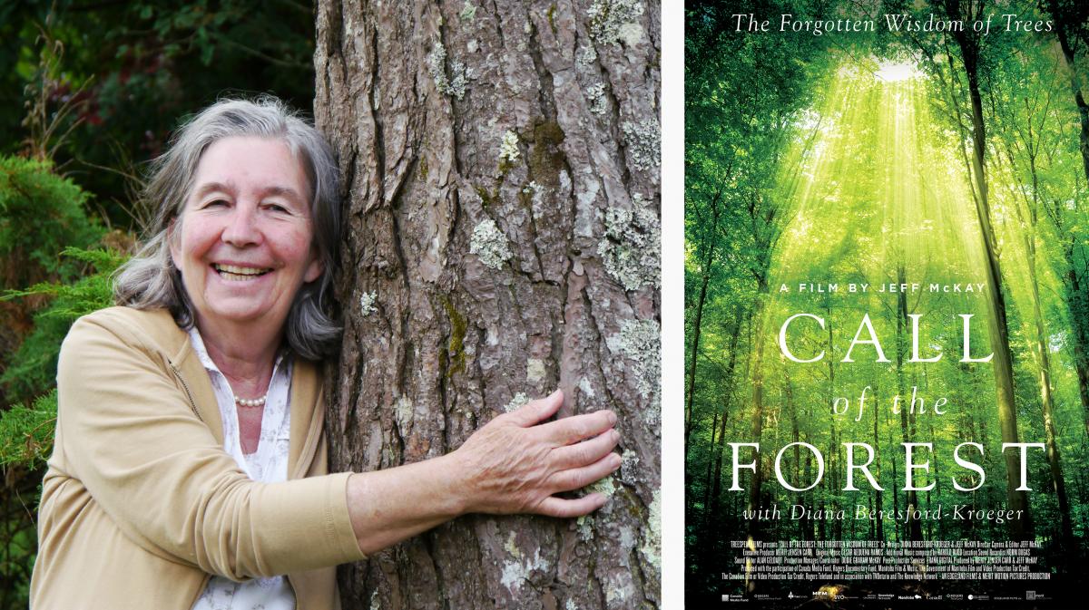 New documentary 'Call of the Forest' will change how you think about