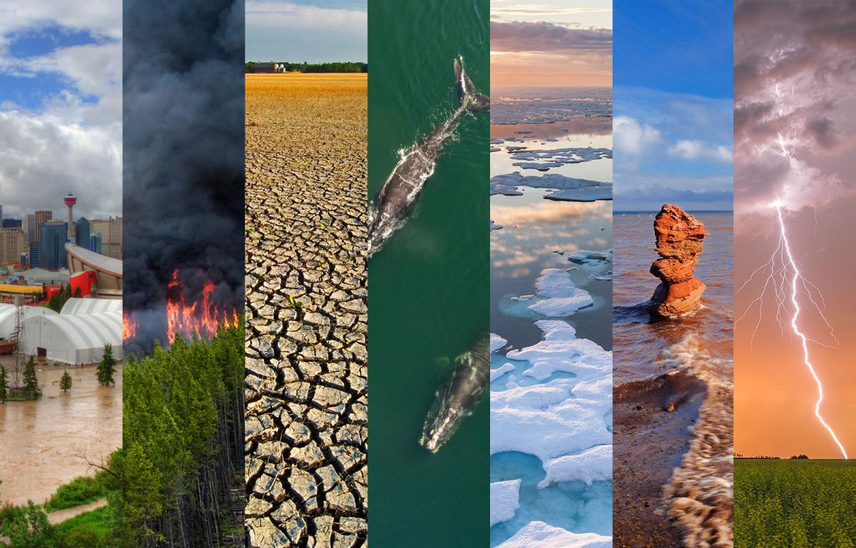 Photos How climate change is transforming Canada Canadian Geographic