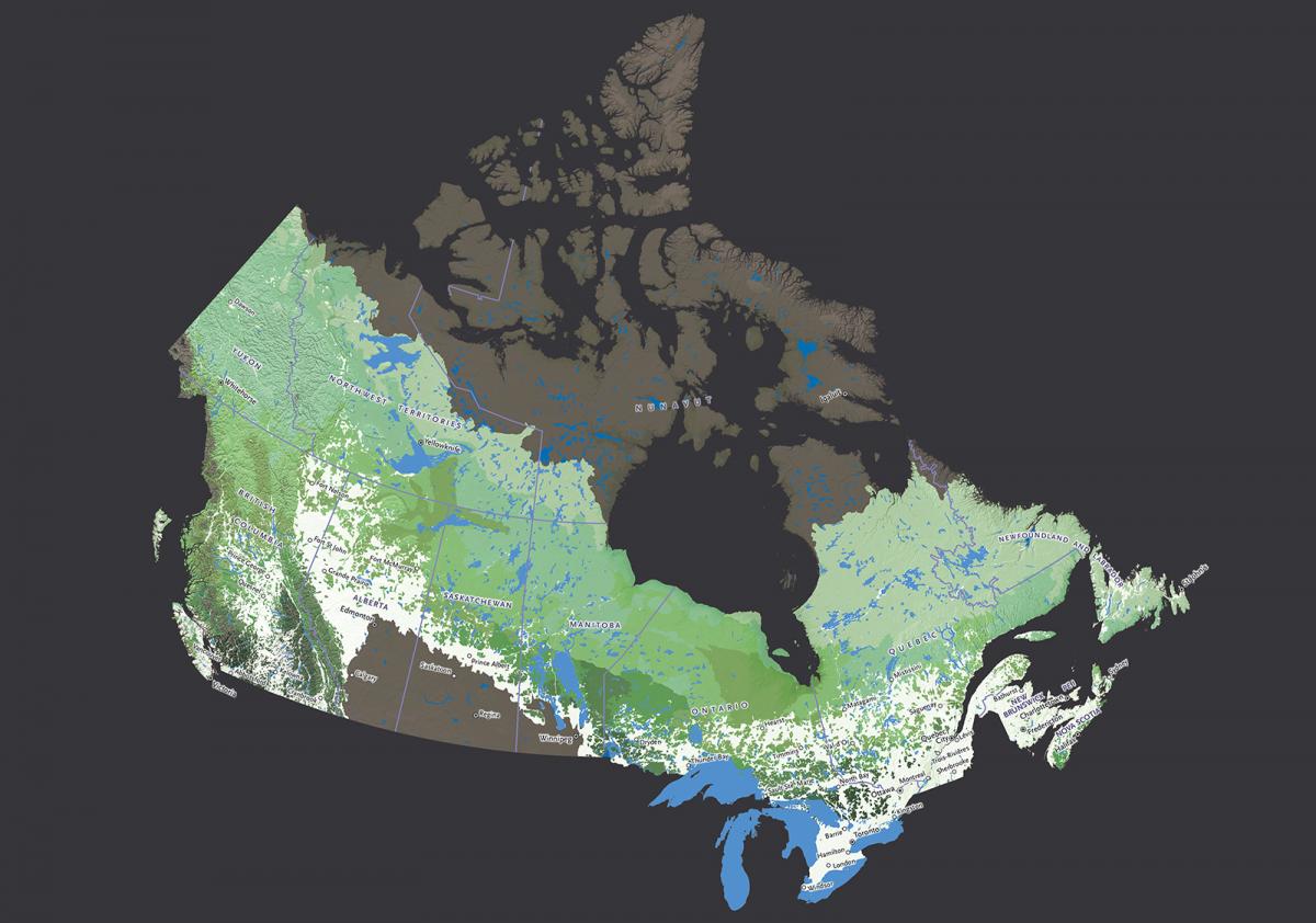 Canada S Boreal Wetlands Are Key To Fighting Climate Change