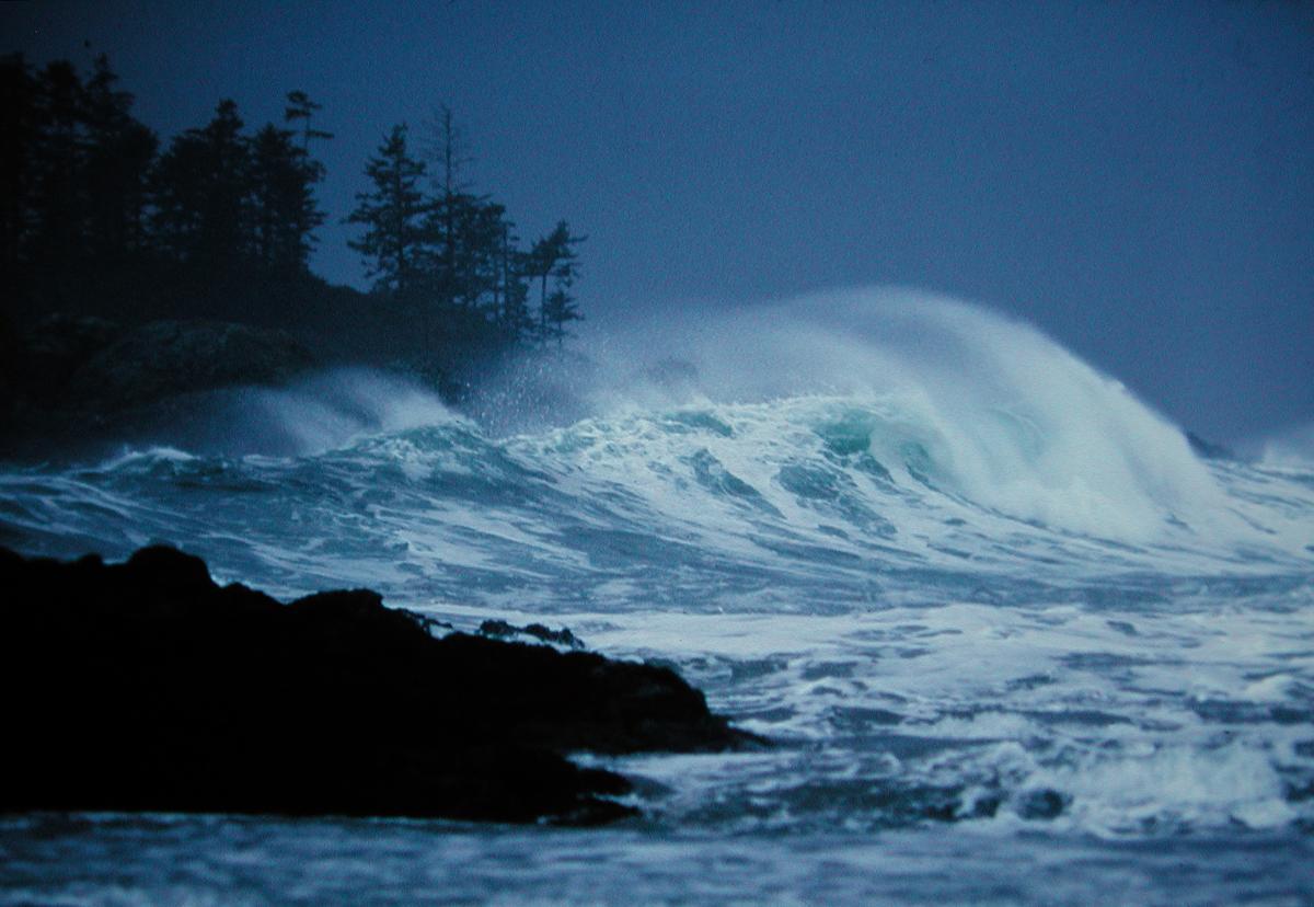 How stormwatchers inspired a groundbreaking coastal safety program