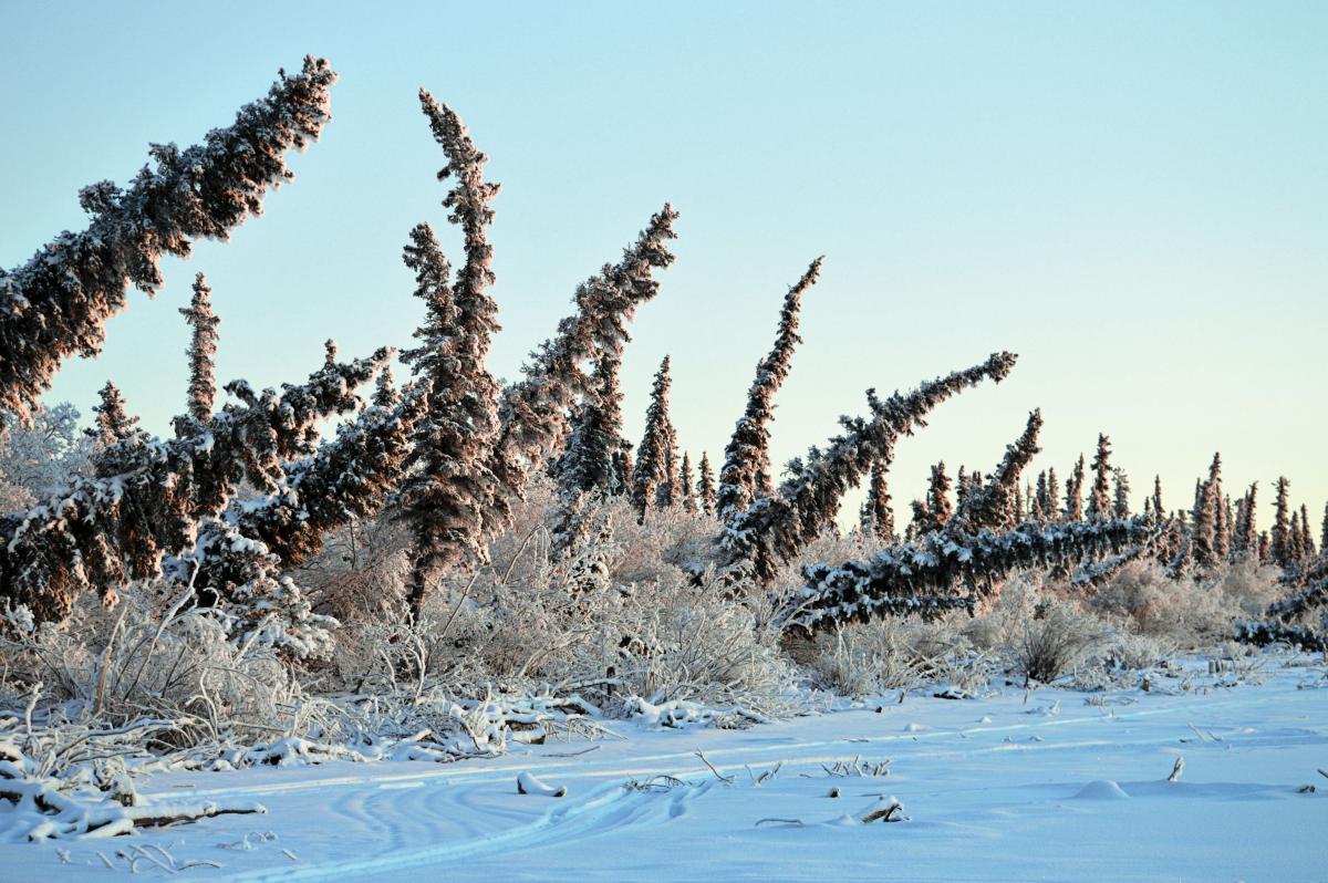 Path Across Frozen Arctic Tundra Was >> Arctic Permafrost Is Thawing Here S What That Means For Canada S Path Across Frozen Arctic Tundra Was >> Arctic Permafrost Is Thawing Here S What That Means For Canada S