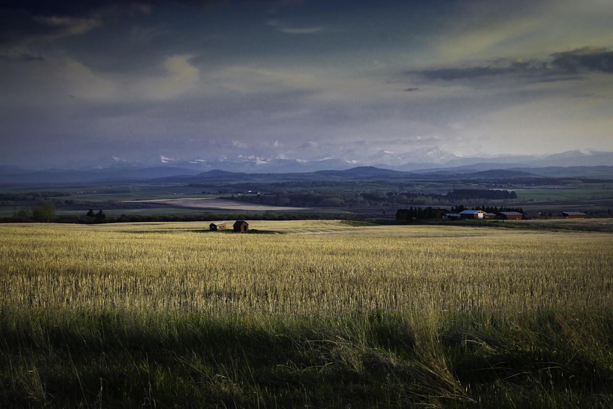 Canada could gain 4.2 million square kilometres of agricultural land as